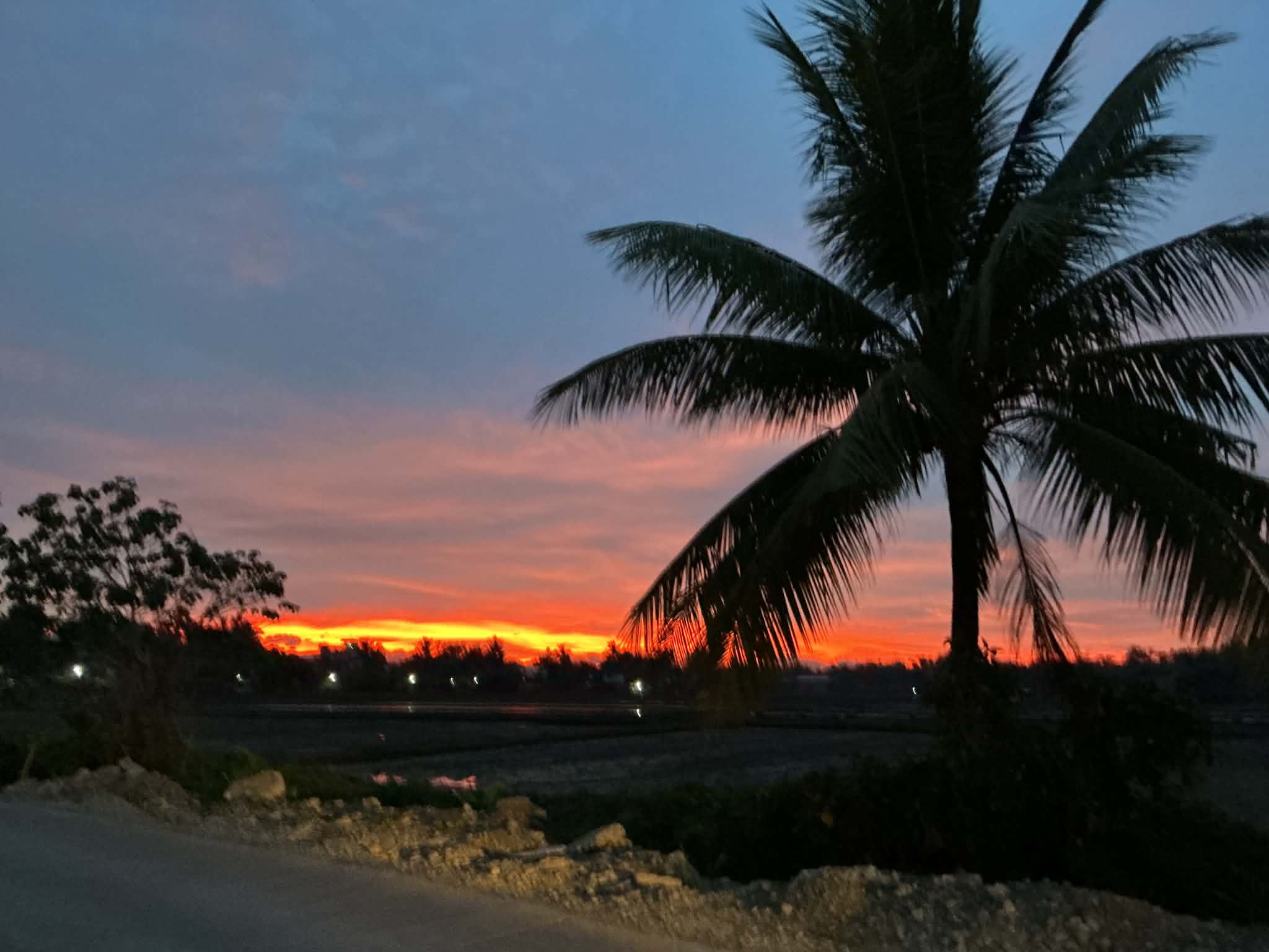 Favorite View:Sunset